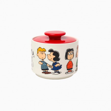 Snoopy & The Peanuts cookie jar