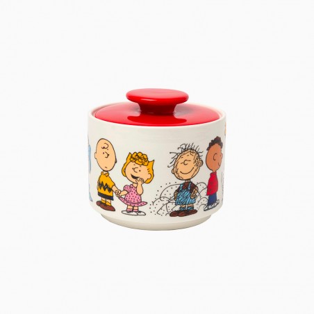 Snoopy & The Peanuts cookie jar