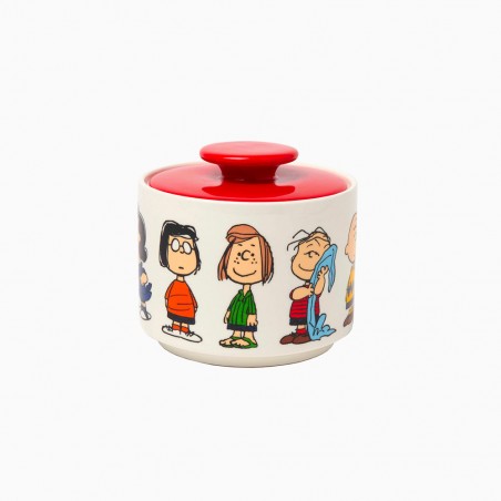 Snoopy & The Peanuts cookie jar