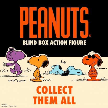 Peanuts Blind Box Wave 06 – Figurines ReAction Super7 Édition Collector