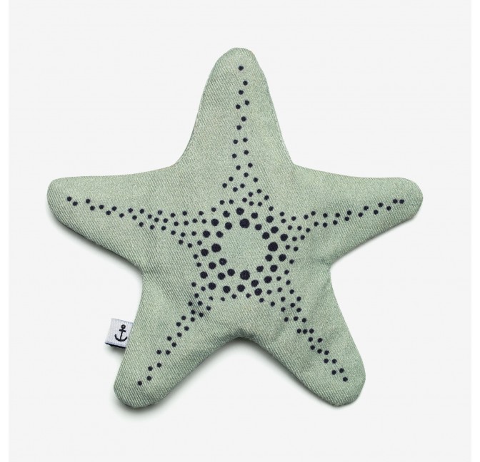Mini zipped case aqua starfish - Don Fisher
