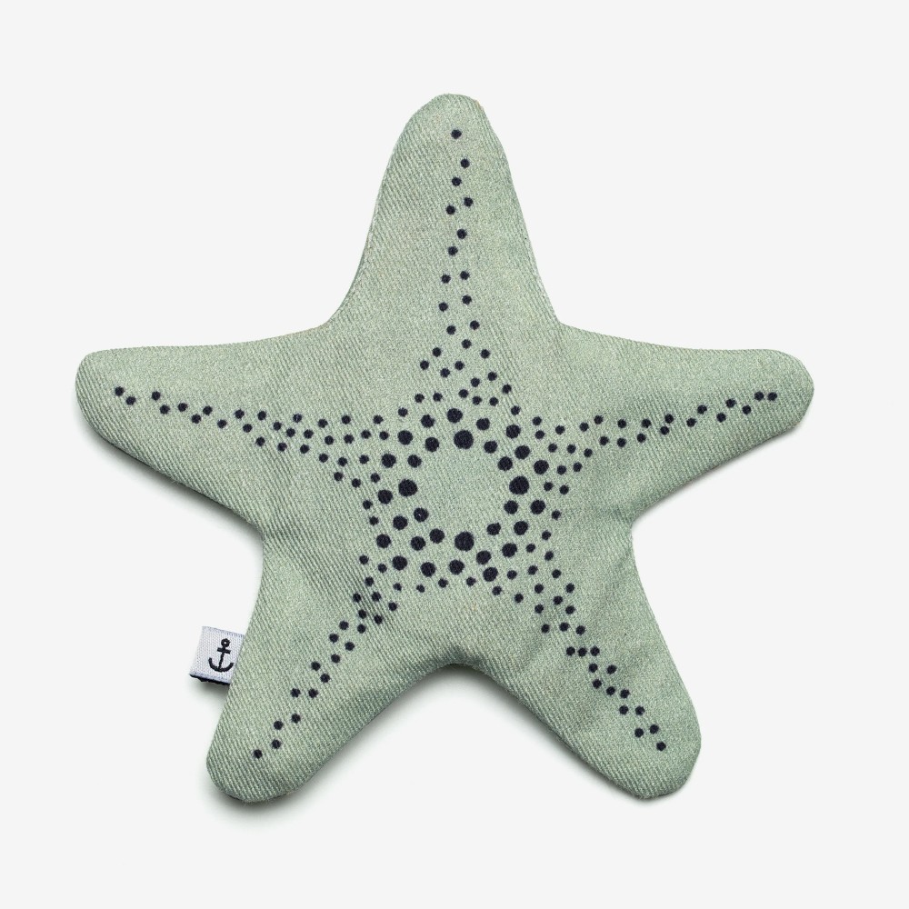 Mini zipped case aqua starfish - Don Fisher