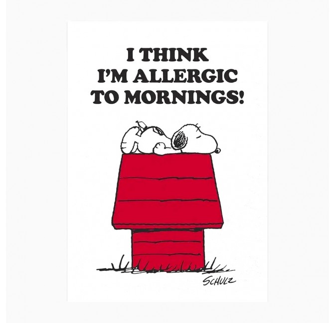 Allergic to Mornings towel - Peanuts & Snoopy - Magpie