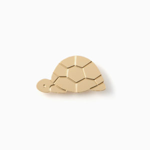 Pin's Tortue