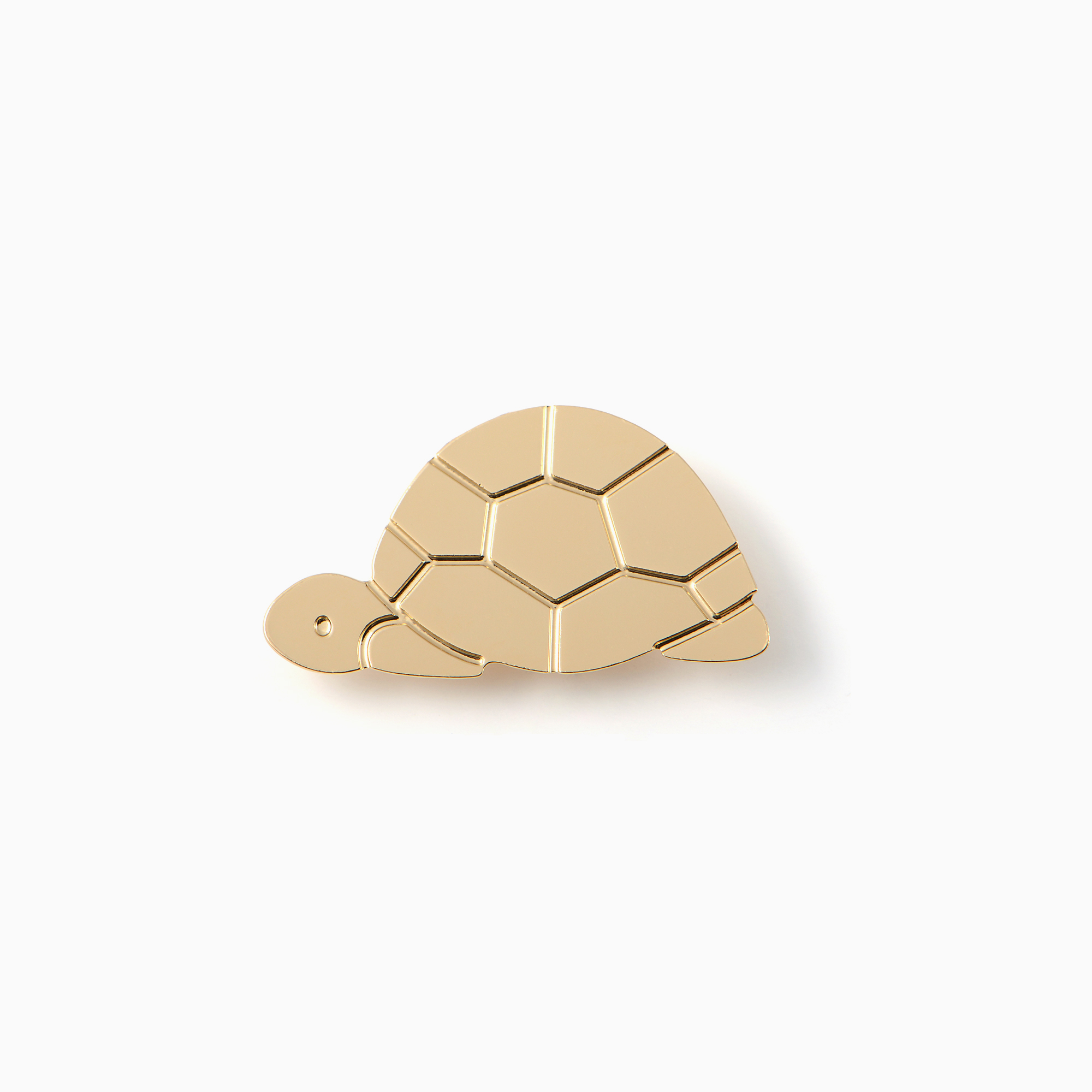 Pin's Tortue